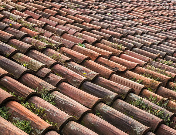 weathered terracotta roof tiles with greenery and moss growth four seasons of nature