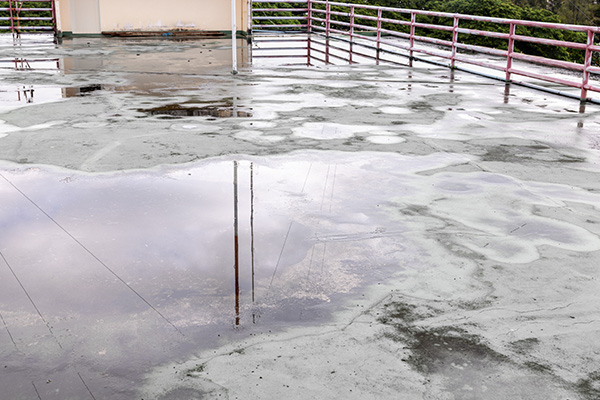 water pooled on a flat concrete surface with reflections and a railing in the background showing potential for drainage and moisture management 4 key areas