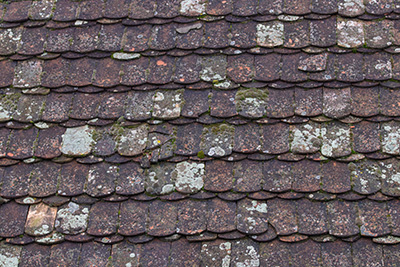 weathered roof tiles with moss patches showcasing five decades of age and charm