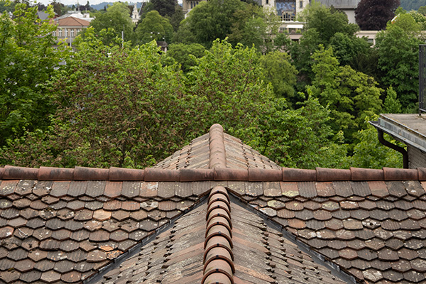 rooftop view of tiled roof intersecting surrounded by lush green trees and buildings in the background highlights roofing design 1